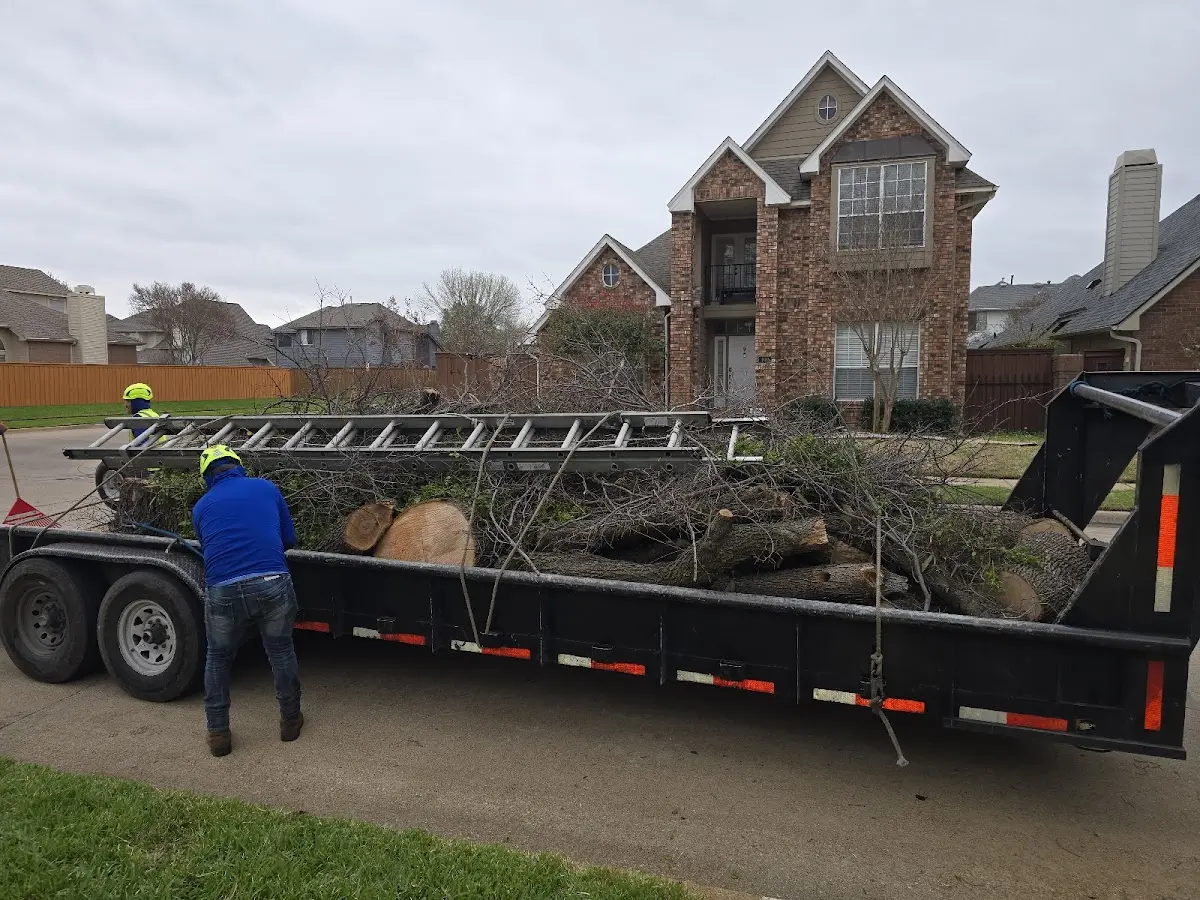 Expert Tree Fertilization with proper safety equipment in Dorsey